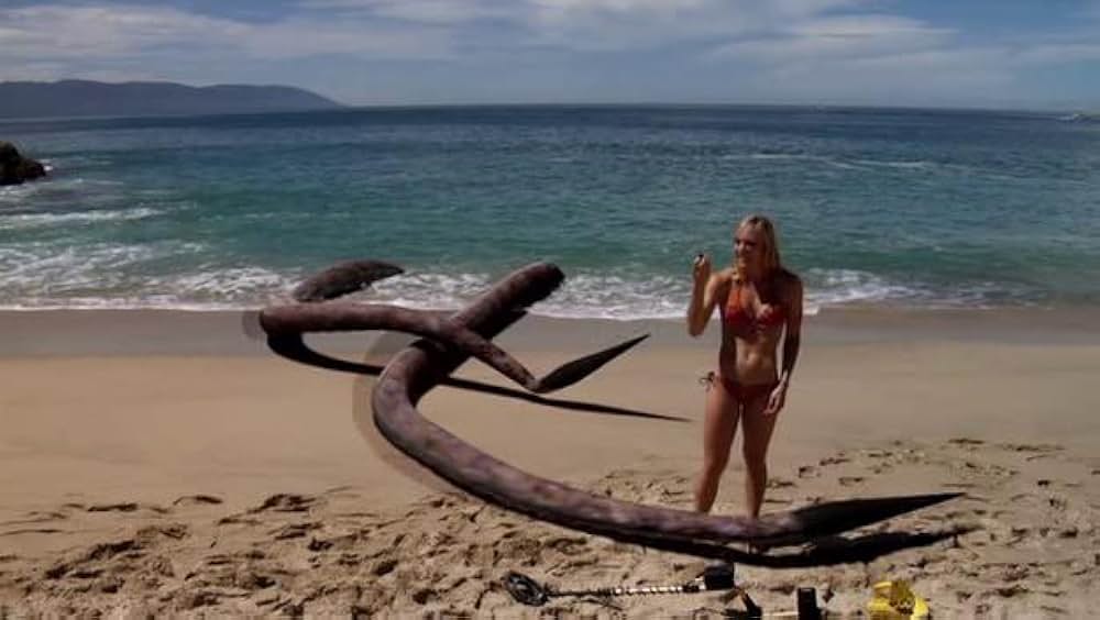 シャークトパスの画像