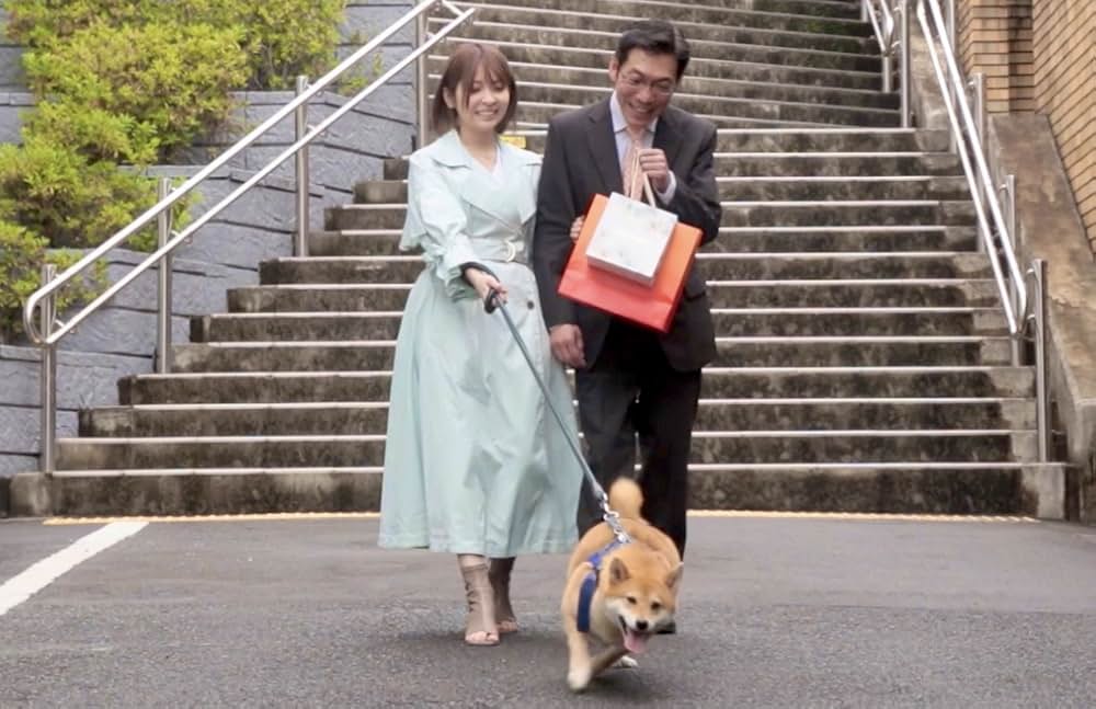 特撮喜劇 大木勇造 人生最大の決戦の画像