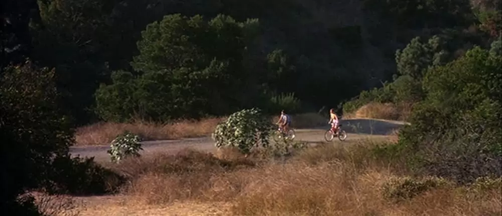 ショート・カッツの画像