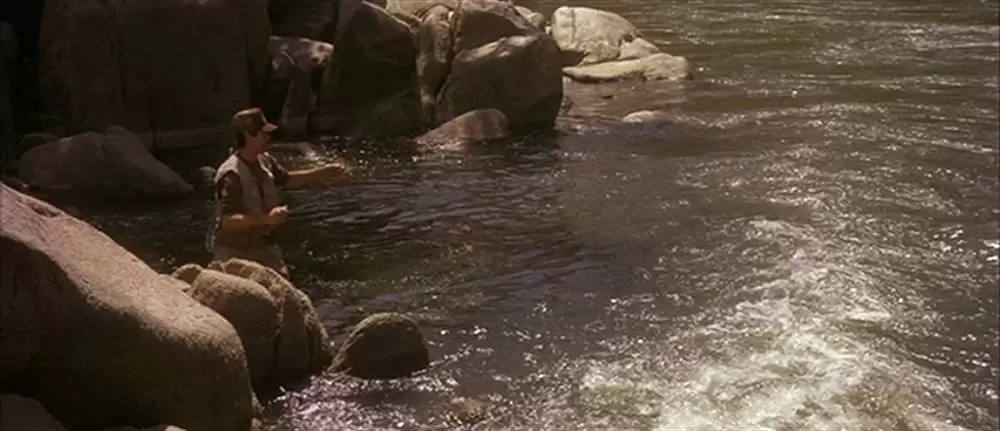 ショート・カッツの画像