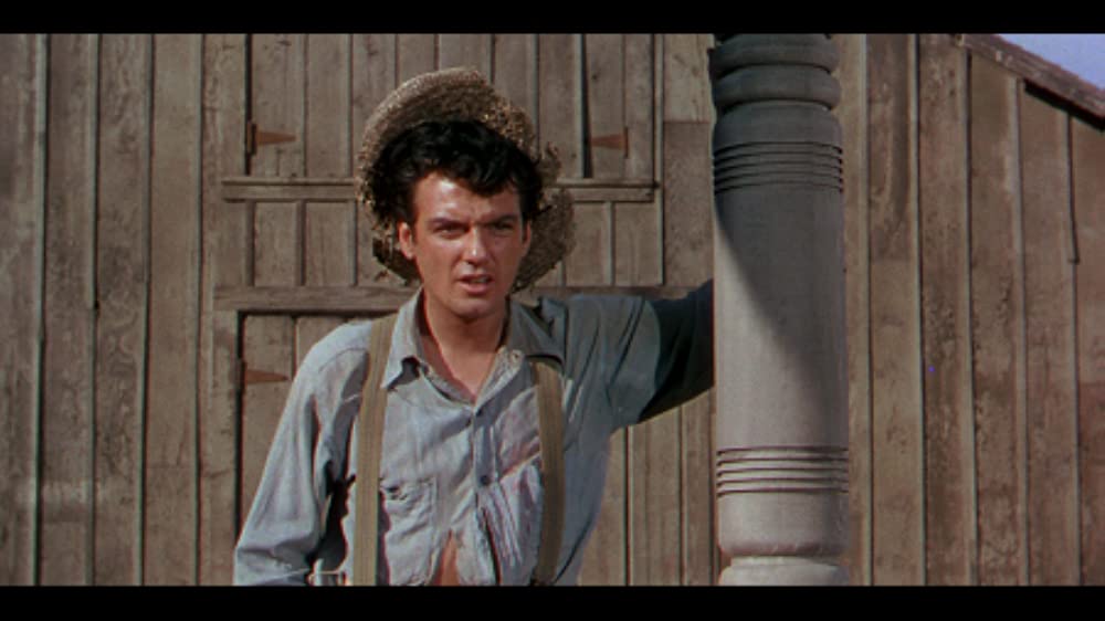 星のない男の画像