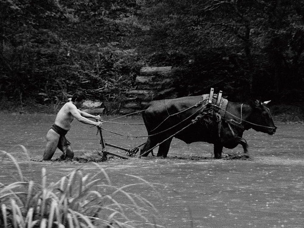 「黒の牛」の画像
