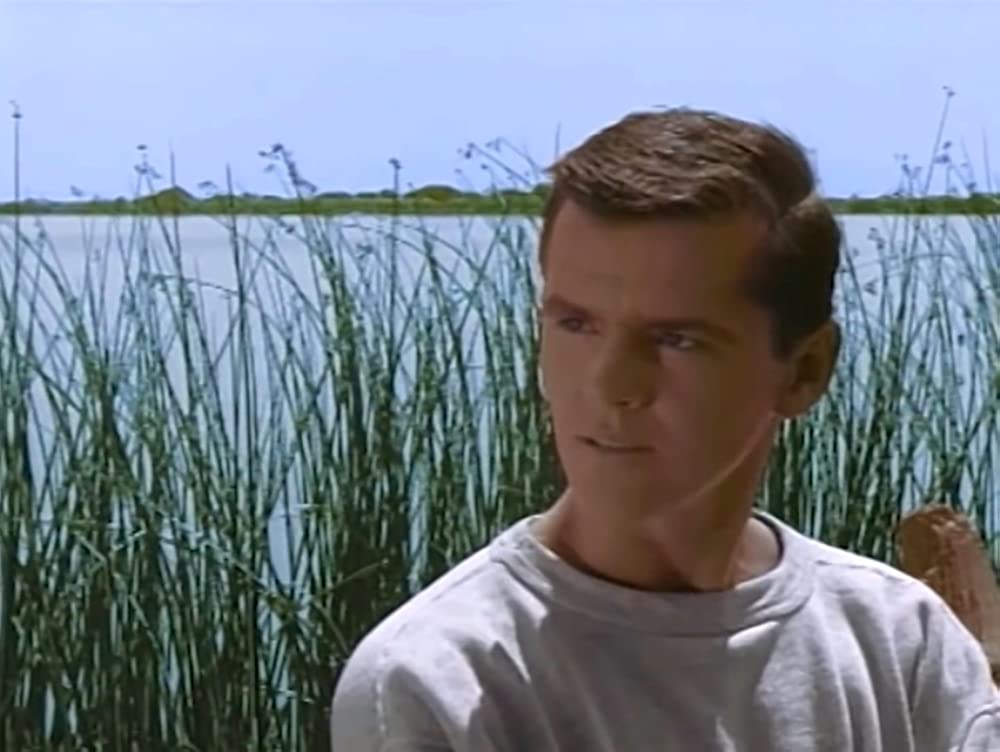 ワイルド・ライドの画像