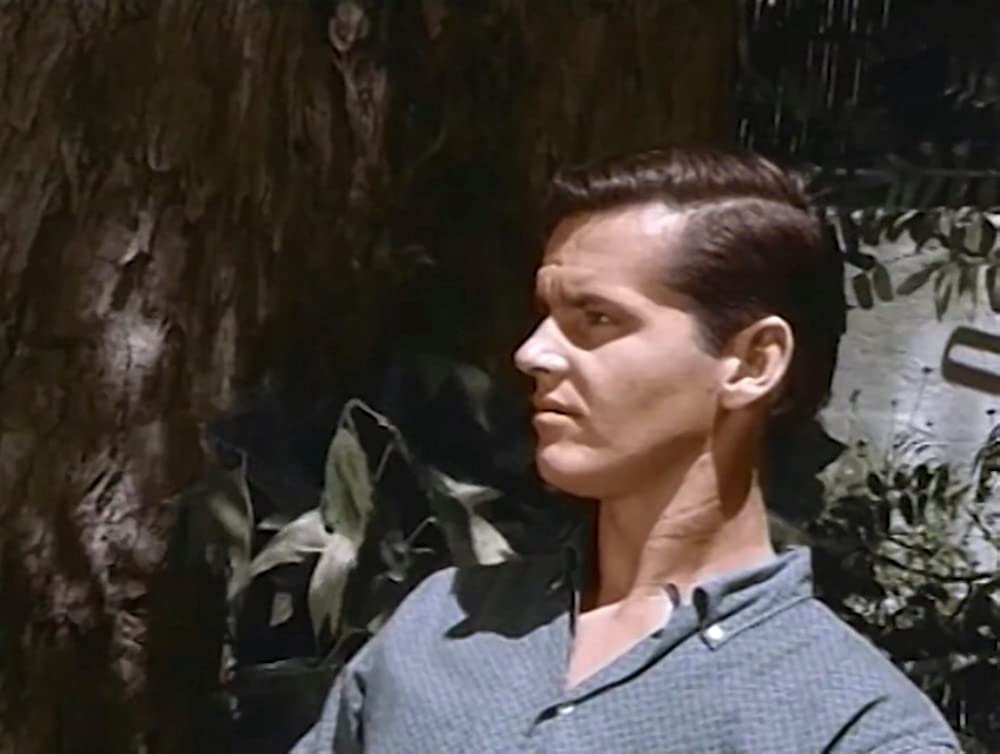 ワイルド・ライドの画像