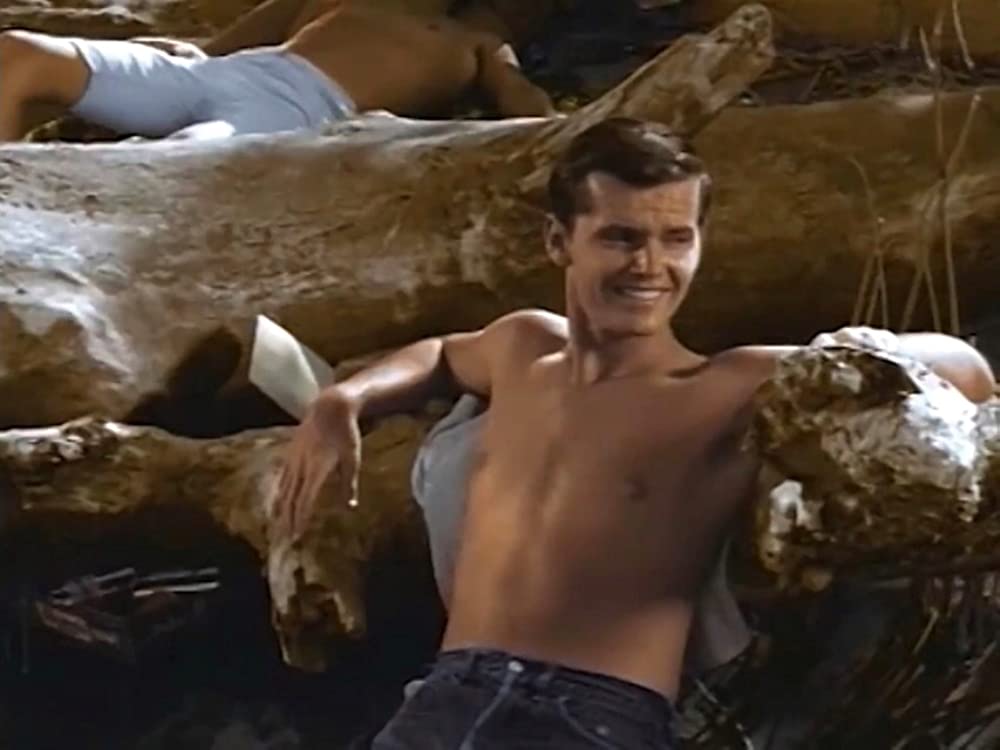 ワイルド・ライドの画像