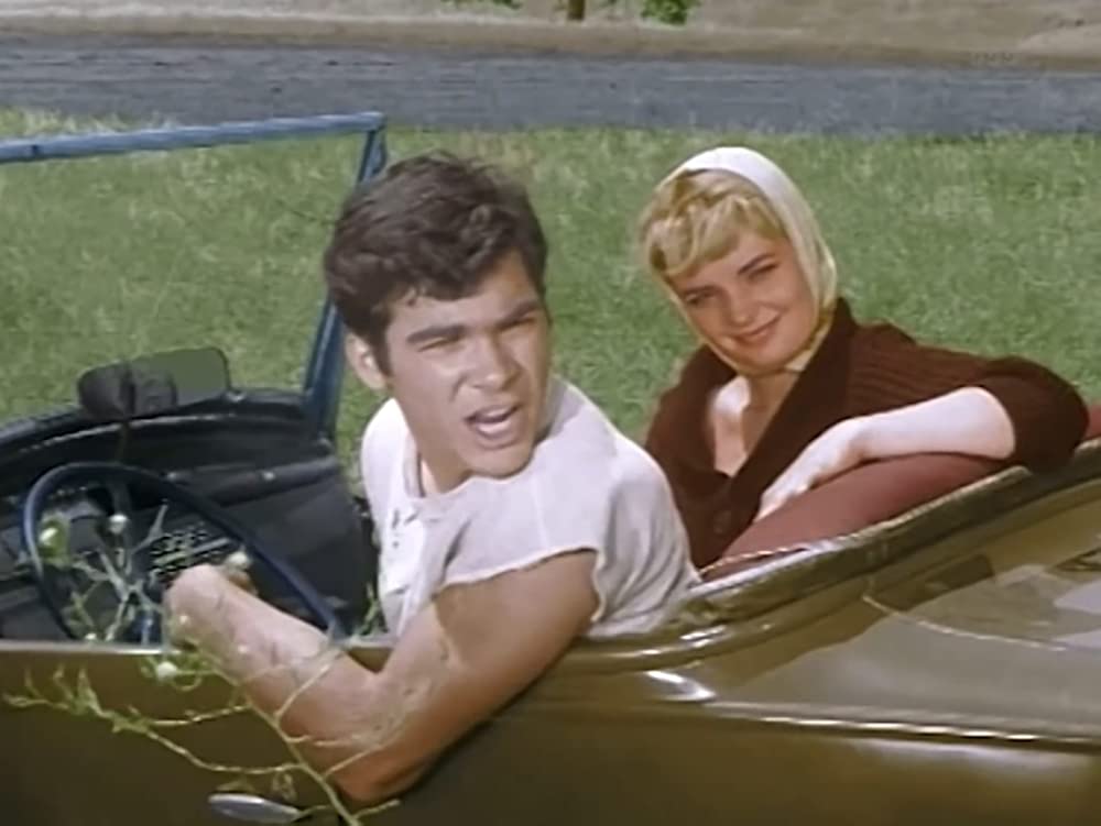 ワイルド・ライドの画像