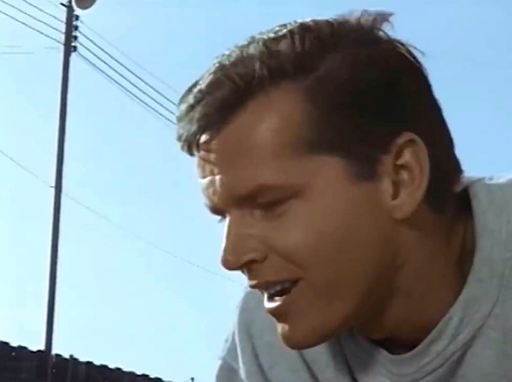 ワイルド・ライドの画像