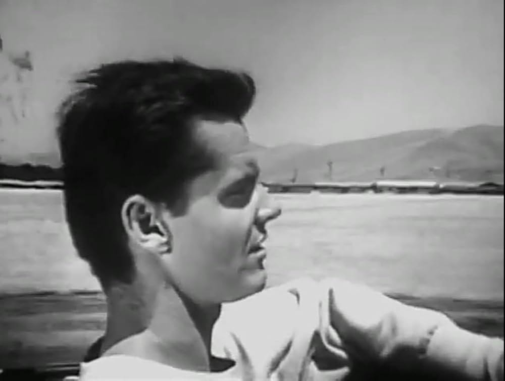 ワイルド・ライドの画像