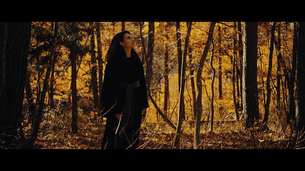 マカリスの画像