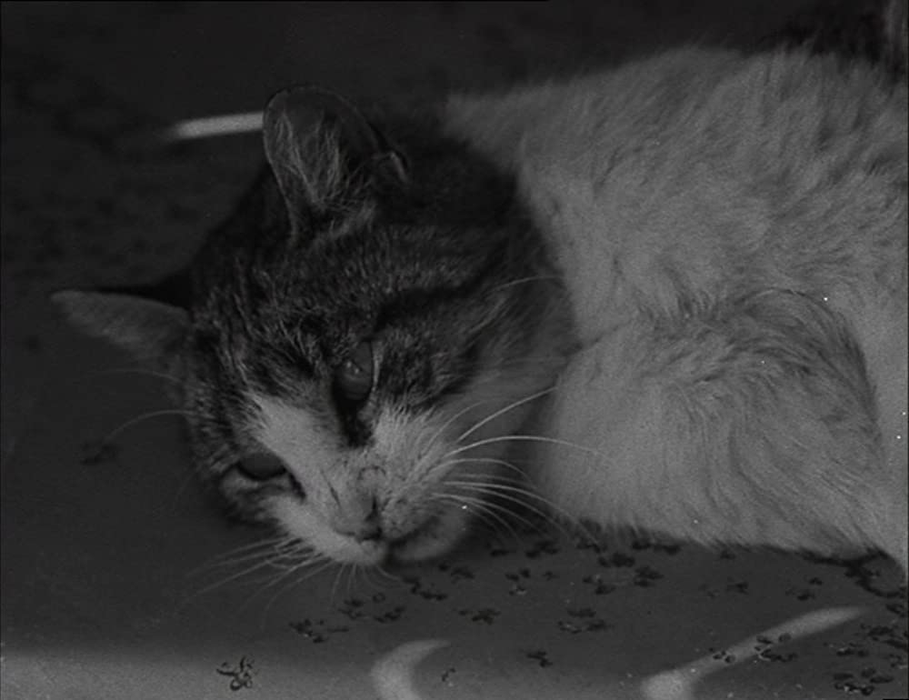 ラ・ポワント・クールトの画像