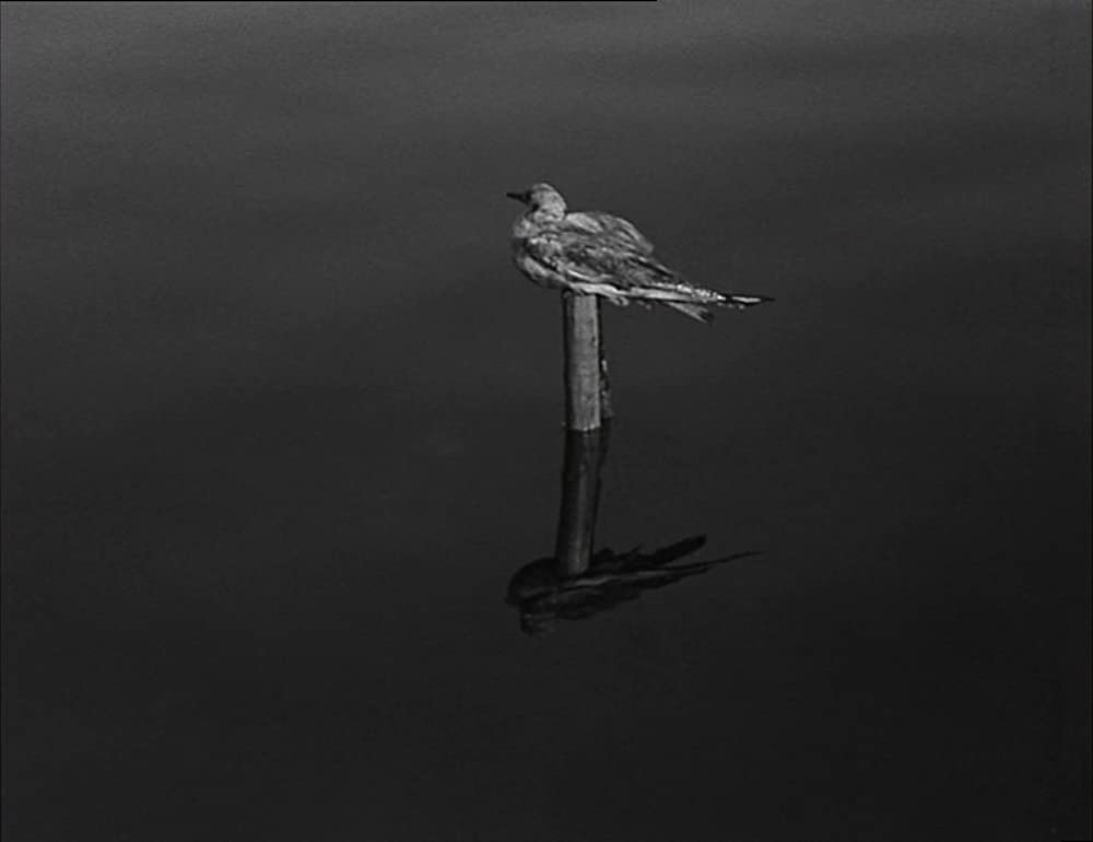 ラ・ポワント・クールトの画像