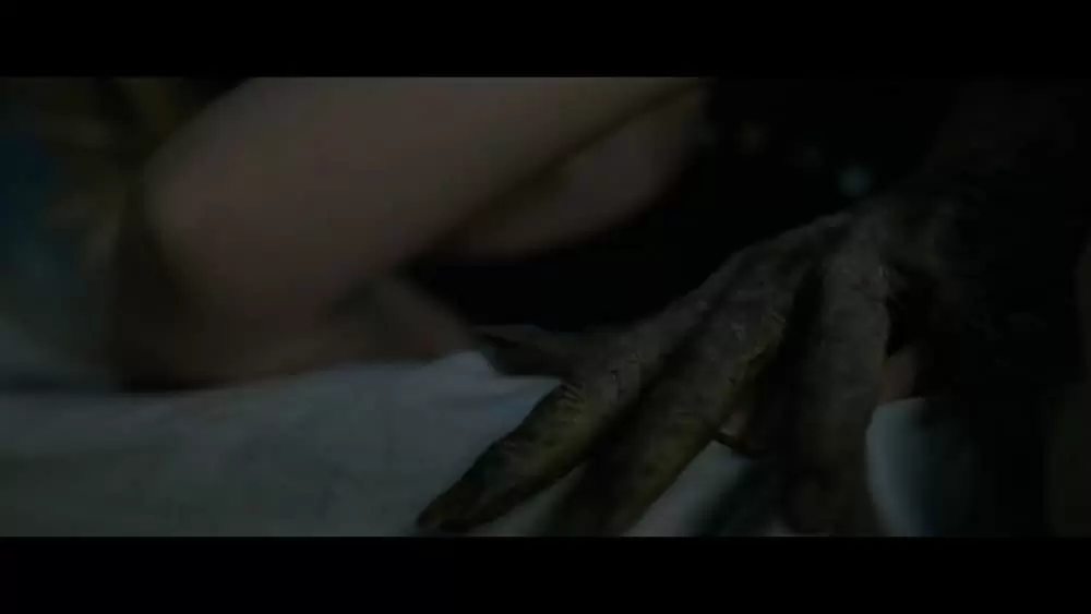 カウントダウンの画像