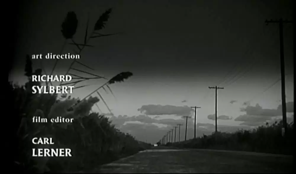 蛇皮の服を着た男の画像