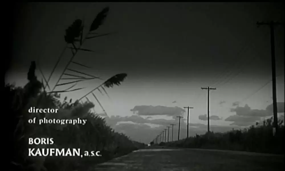 蛇皮の服を着た男の画像