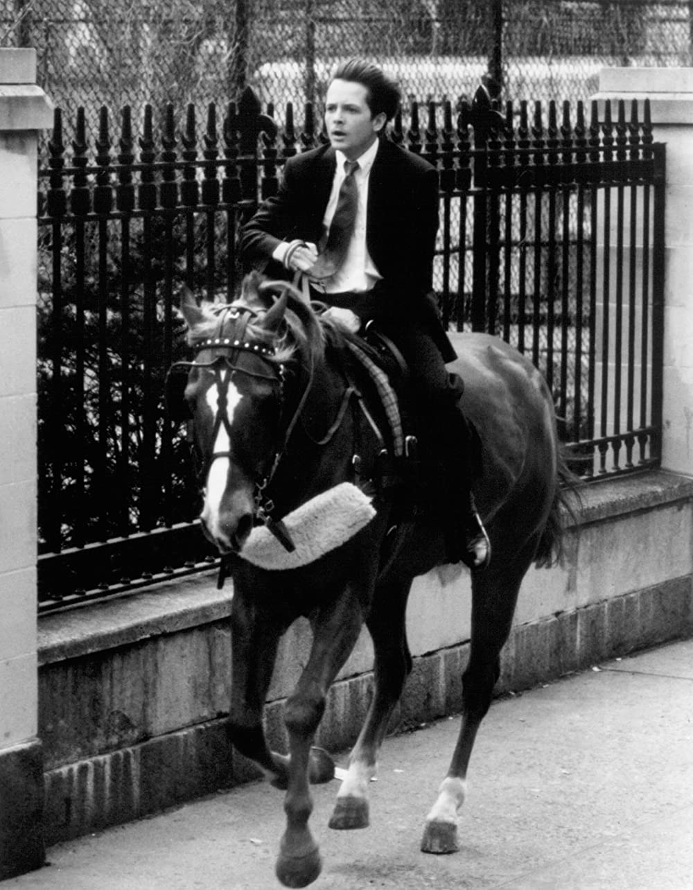 バラ色の選択の画像