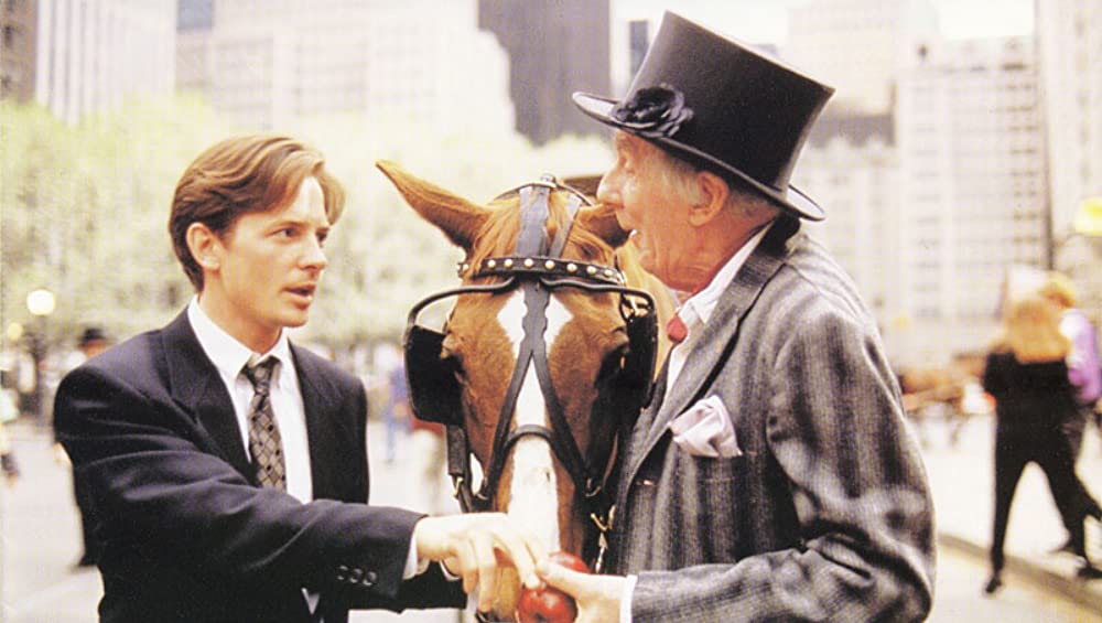 バラ色の選択の画像