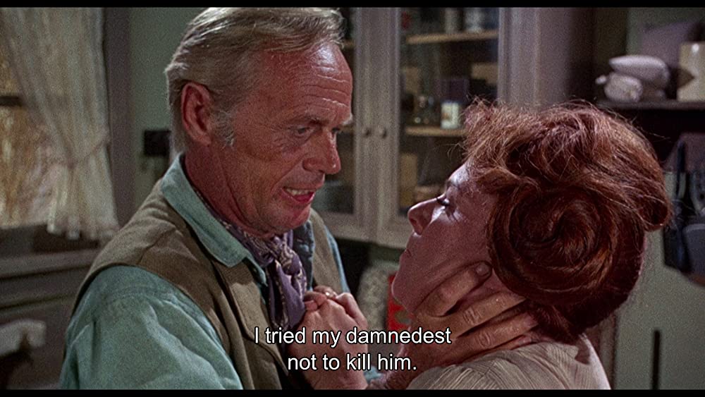 ガンファイターの最後の画像