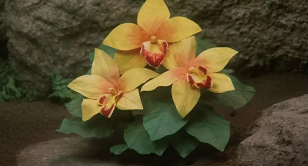 ゴジラVSモスラの画像