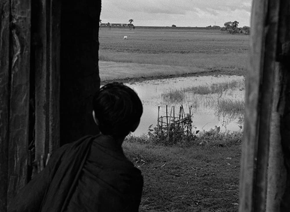 大河のうたの画像