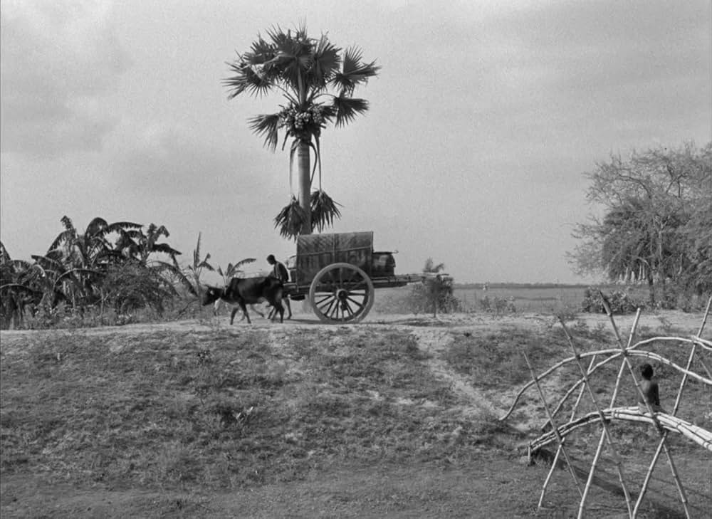 大河のうたの画像