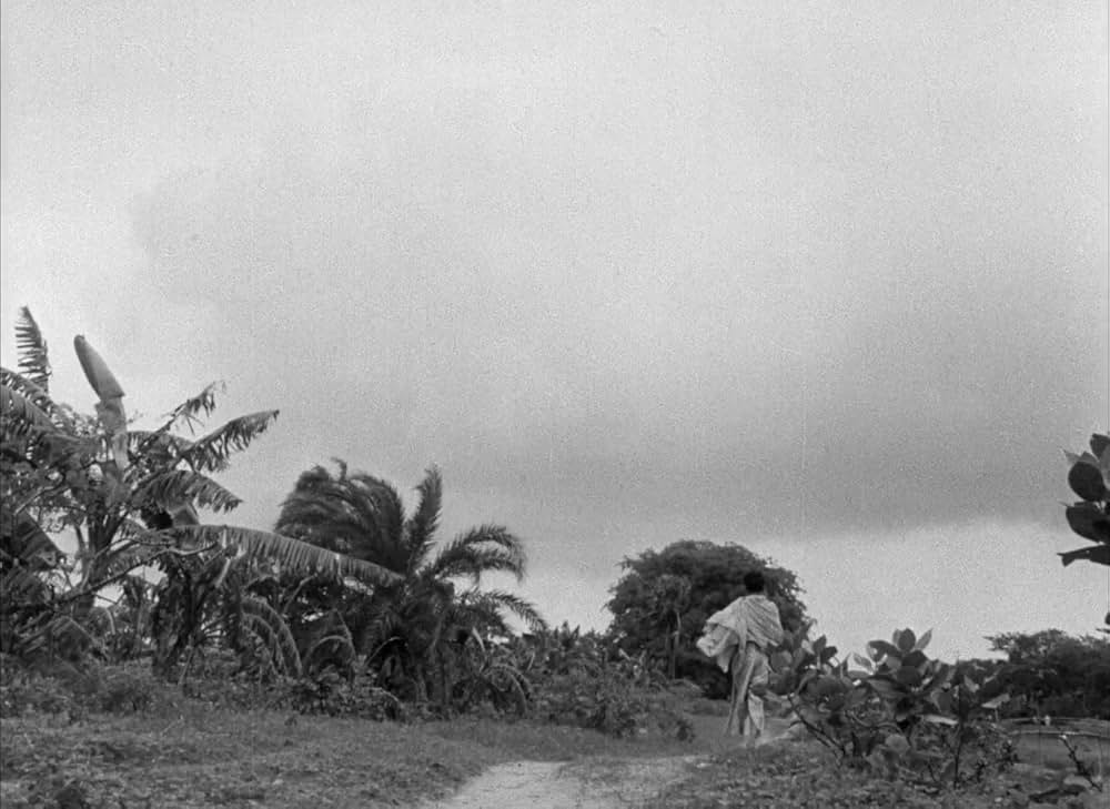 大河のうたの画像