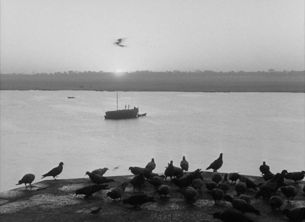 大河のうたの画像