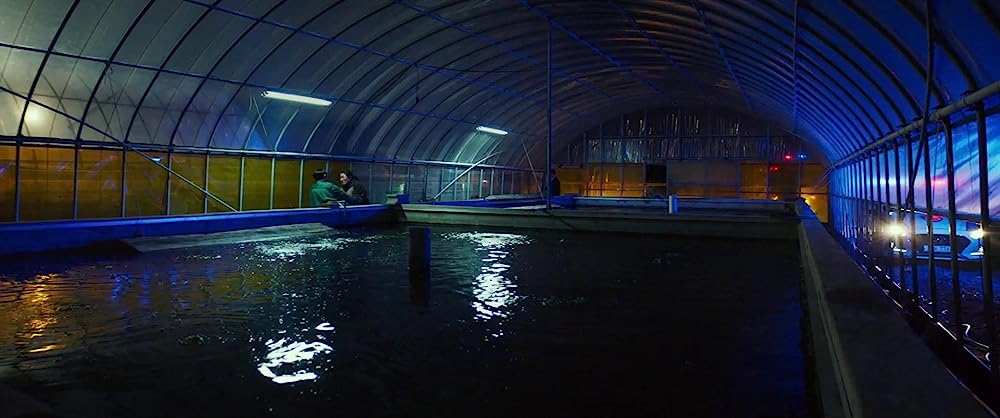 別れる決心の画像