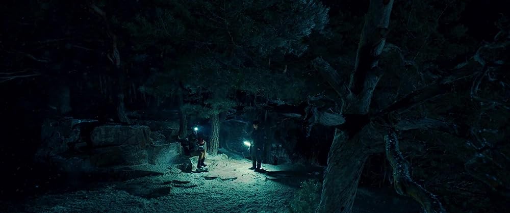 別れる決心の画像