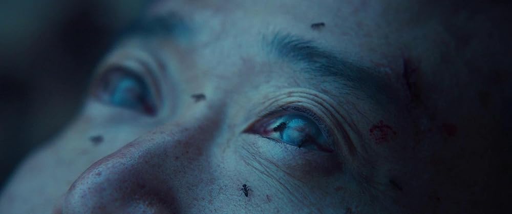 別れる決心の画像