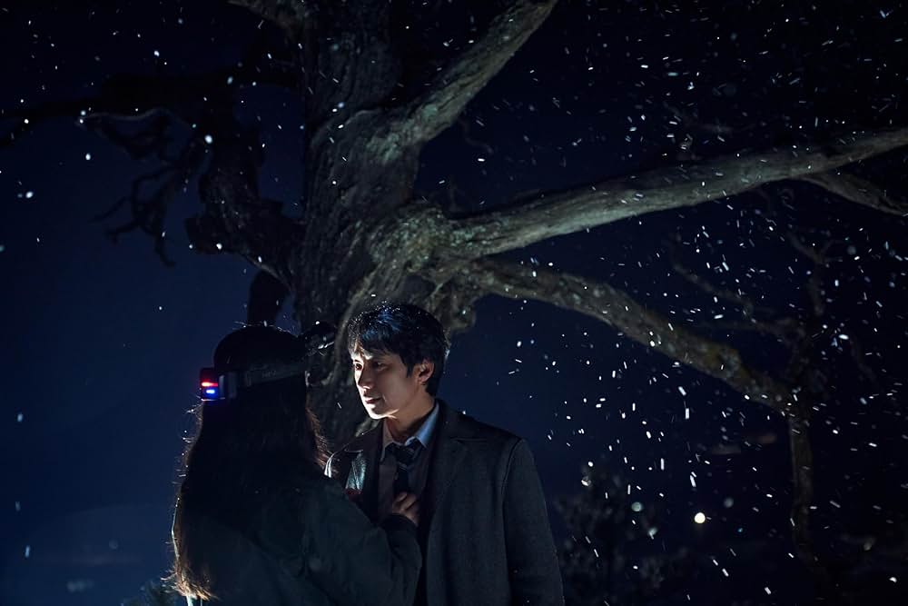 別れる決心の画像