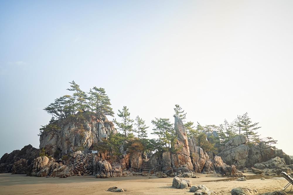 別れる決心の画像