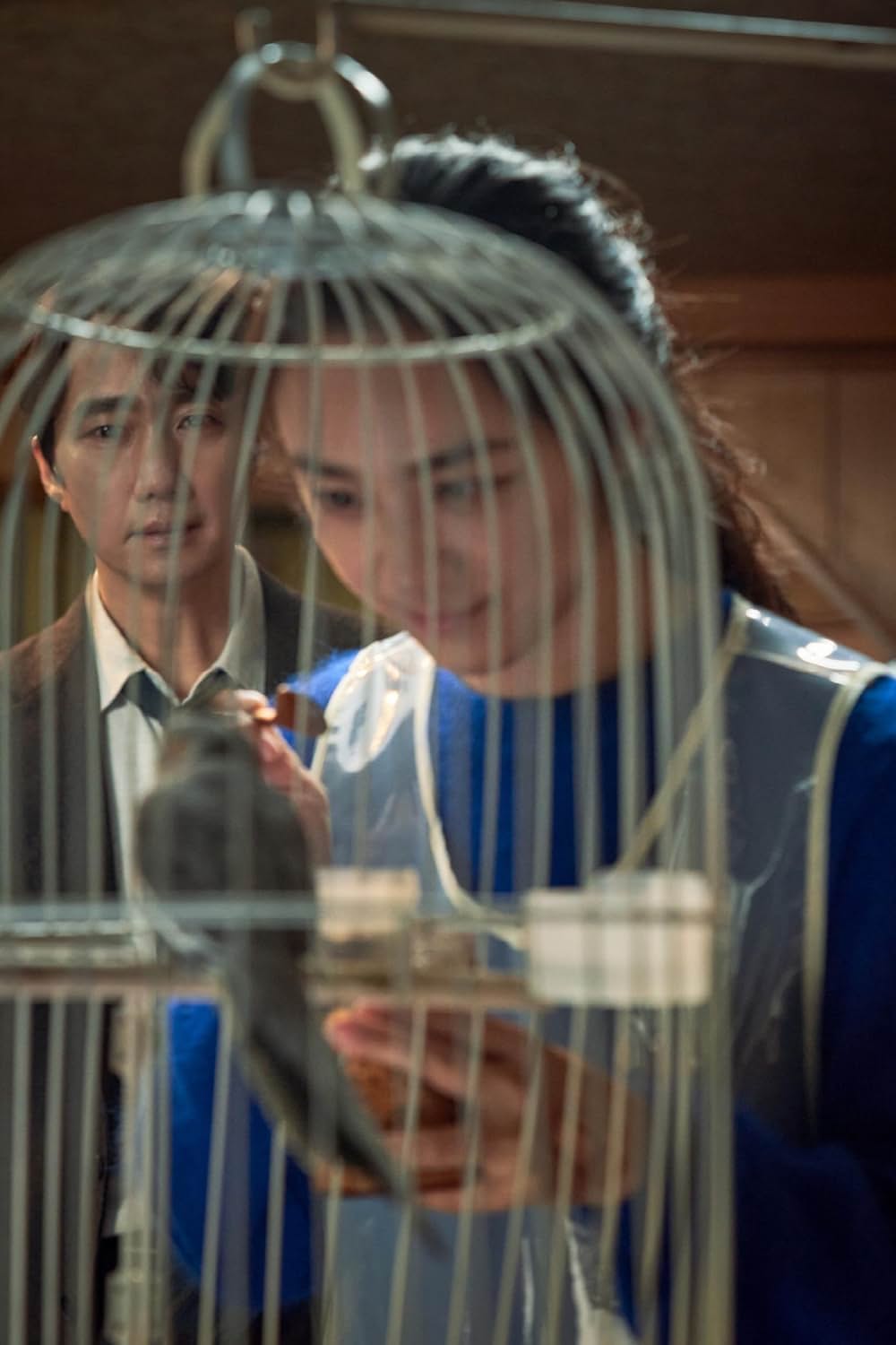 別れる決心の画像