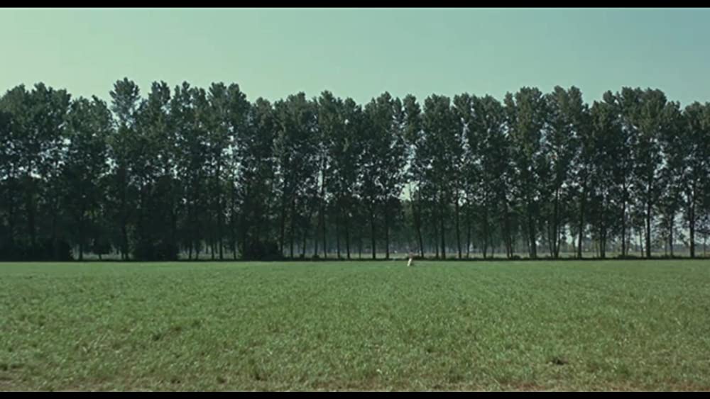 「アポロンの地獄」の画像