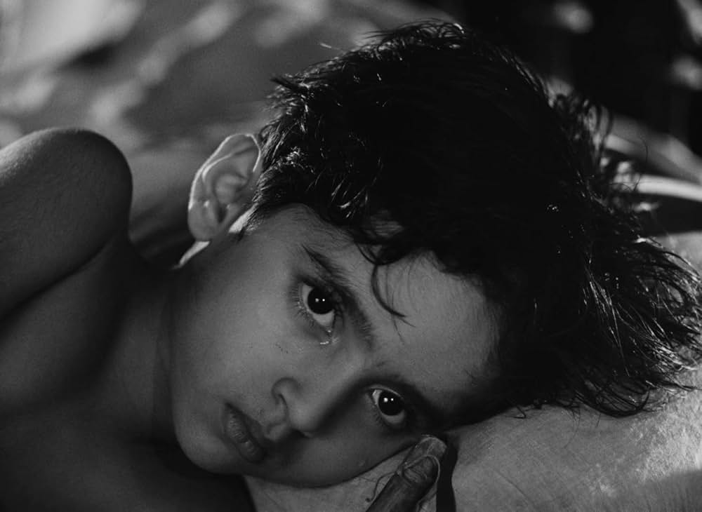 大樹のうたの画像