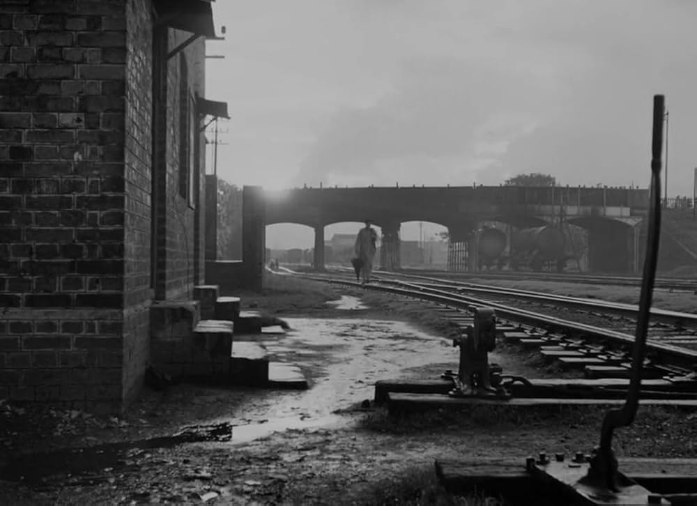 大樹のうたの画像