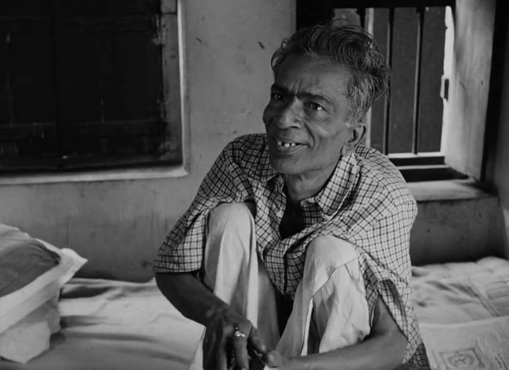 大樹のうたの画像