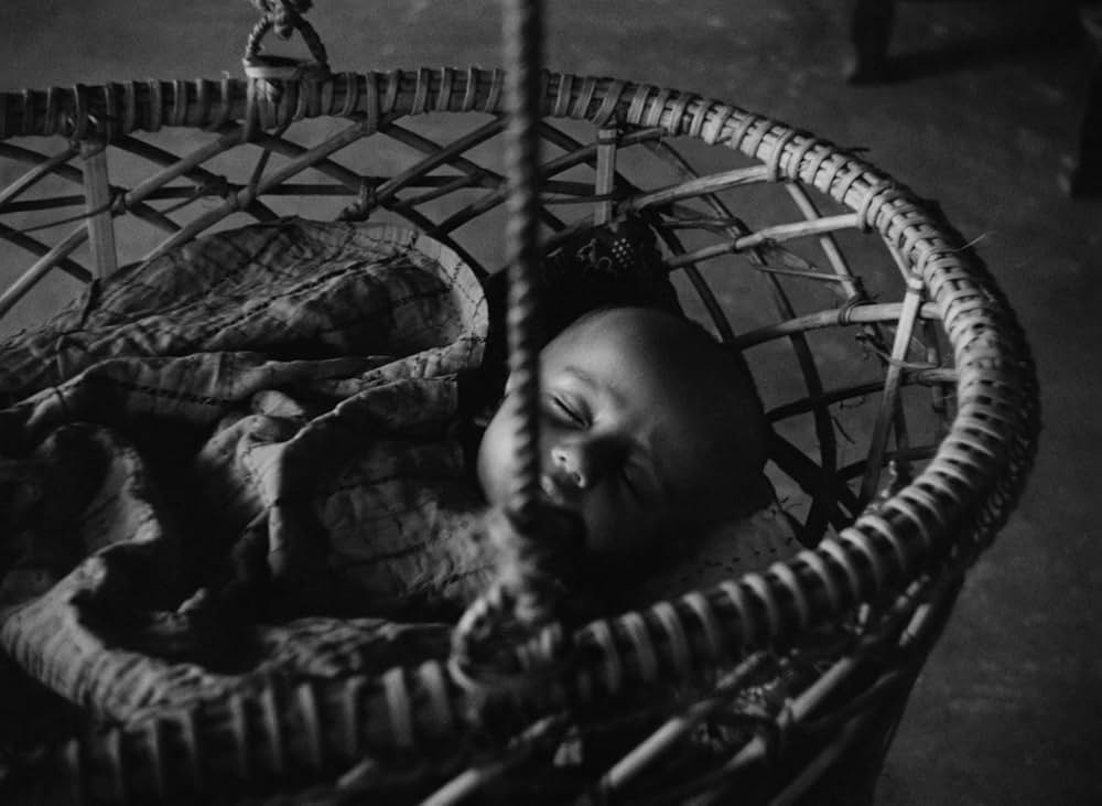 大樹のうたの画像