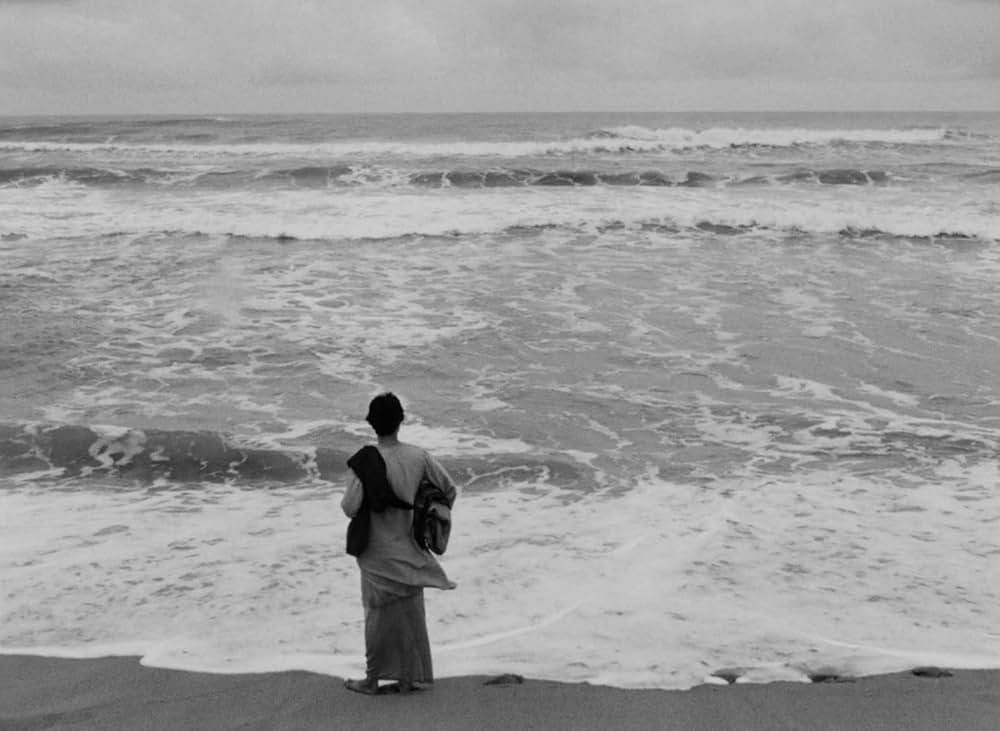 大樹のうたの画像