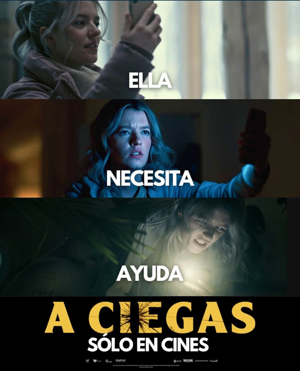 シーフォーミーの画像