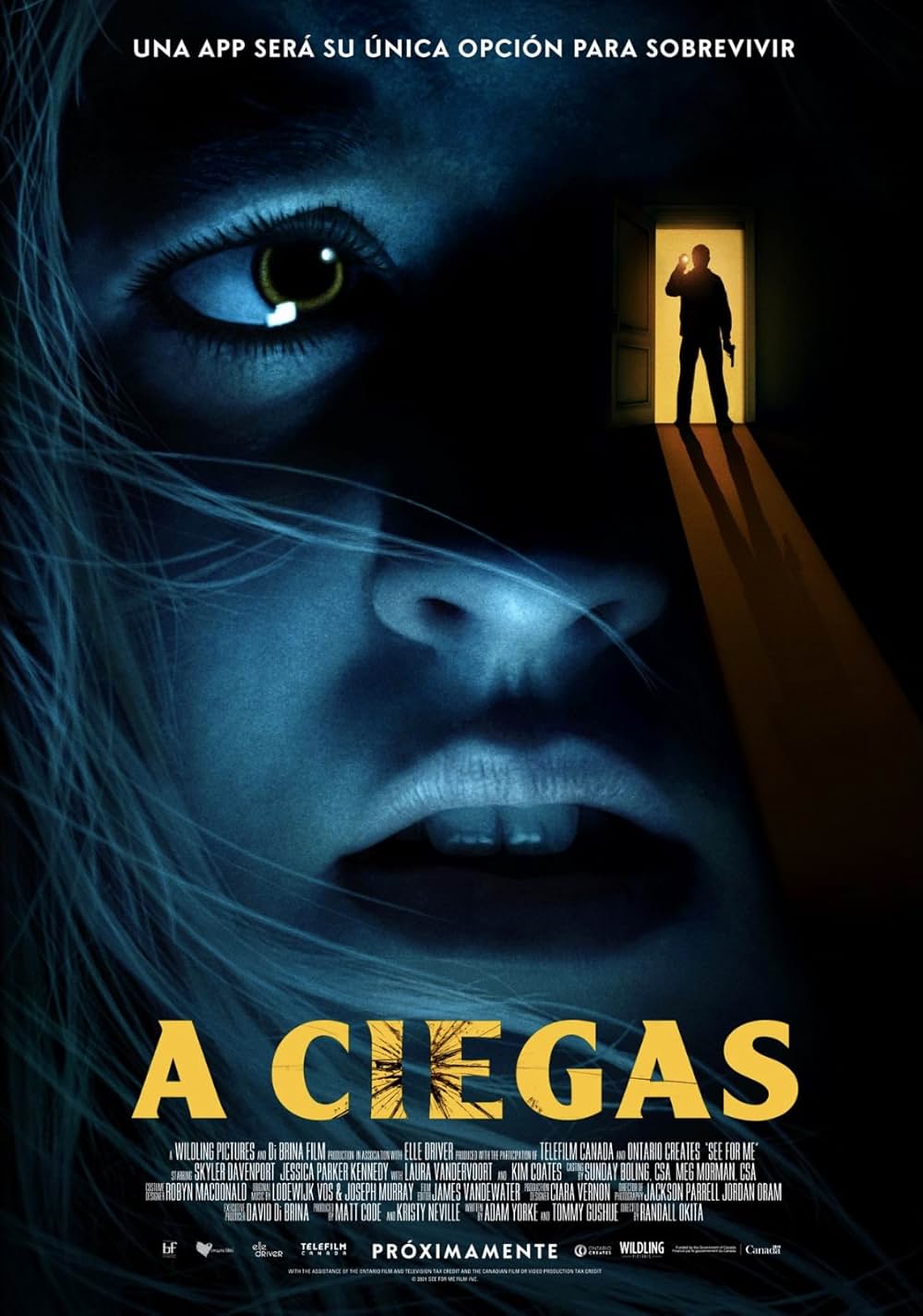 シーフォーミーの画像