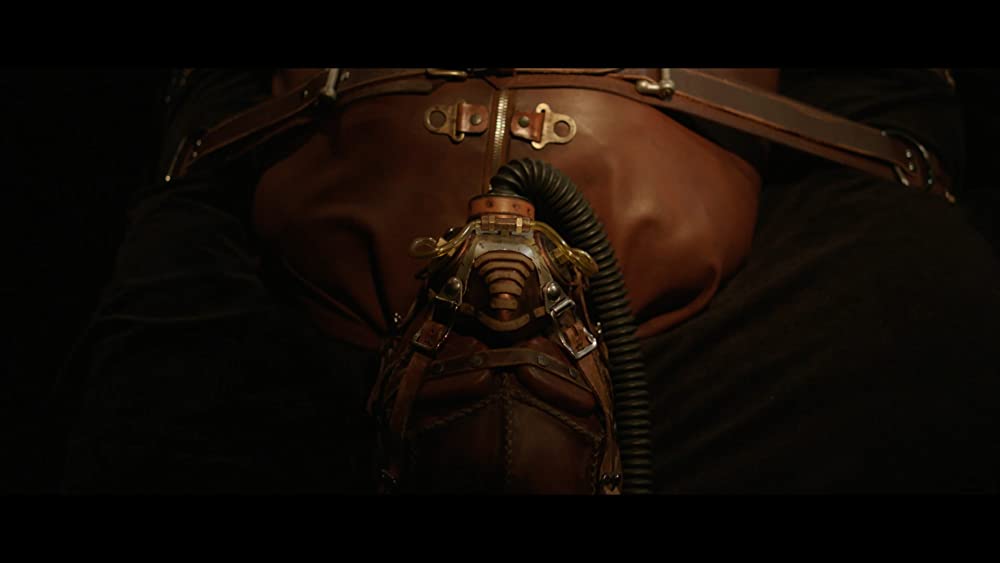 「ザ・フィクション」の画像