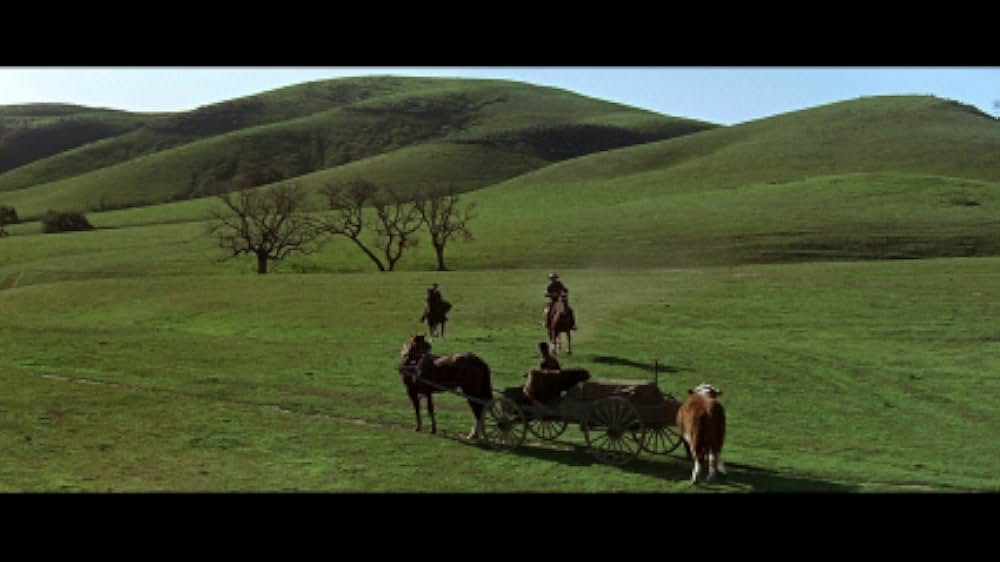 スタンピードの画像