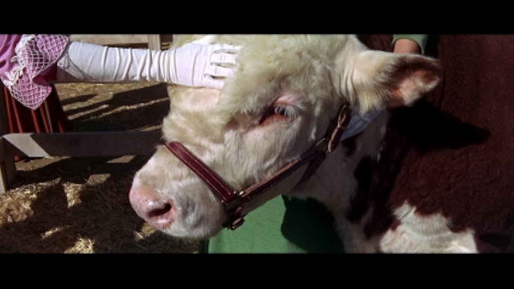 スタンピードの画像