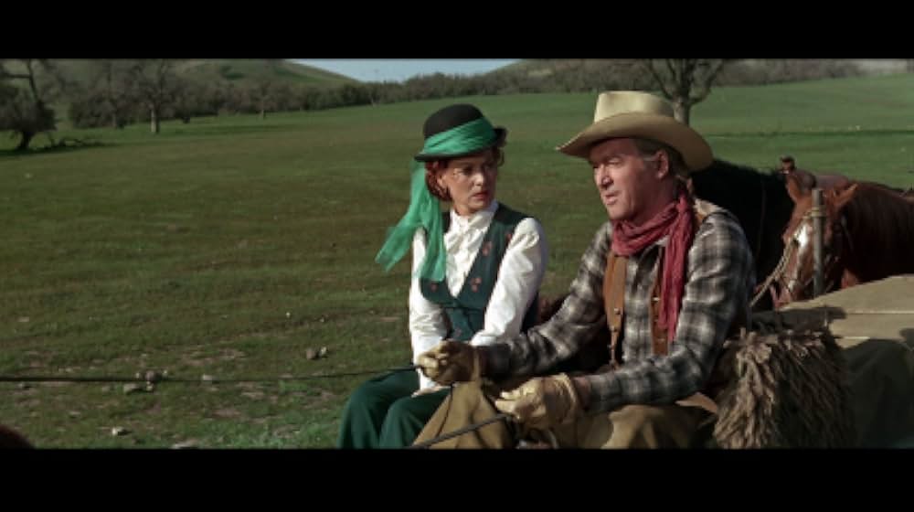 スタンピードの画像