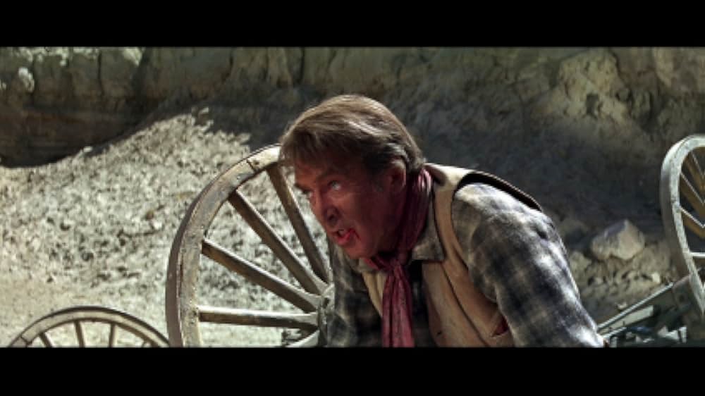 スタンピードの画像