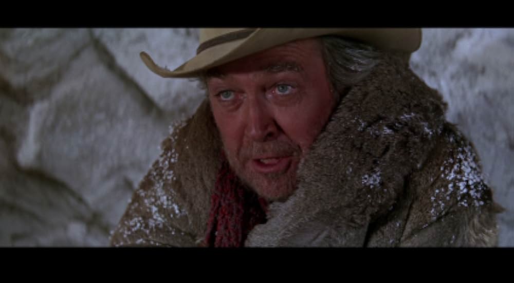 スタンピードの画像