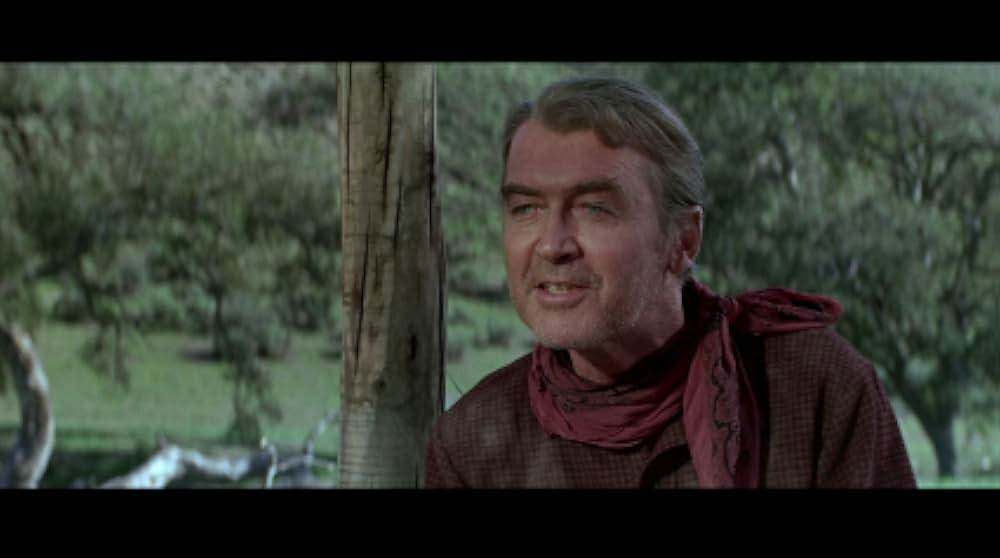 スタンピードの画像