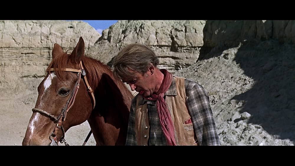 スタンピードの画像