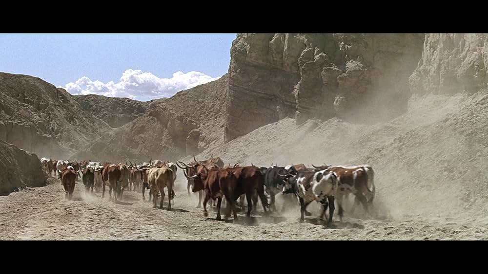 スタンピードの画像