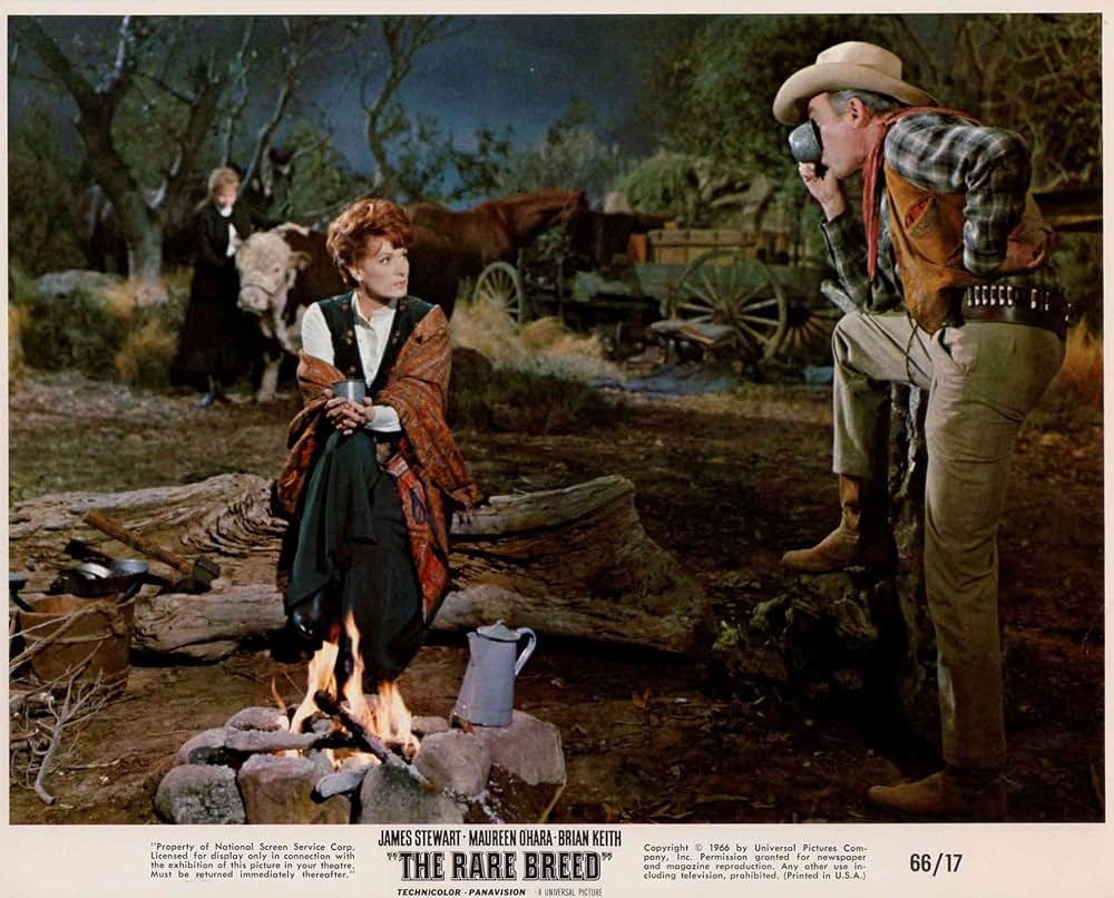 スタンピードの画像